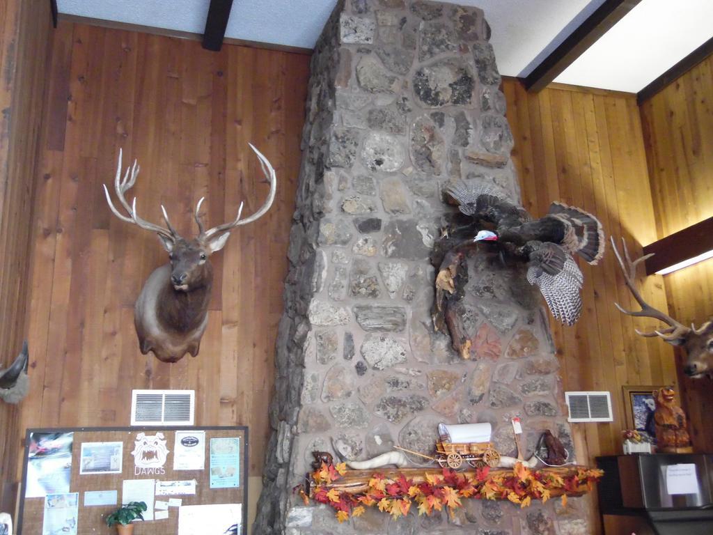 Bear Lodge Motel 圣丹斯 外观 照片