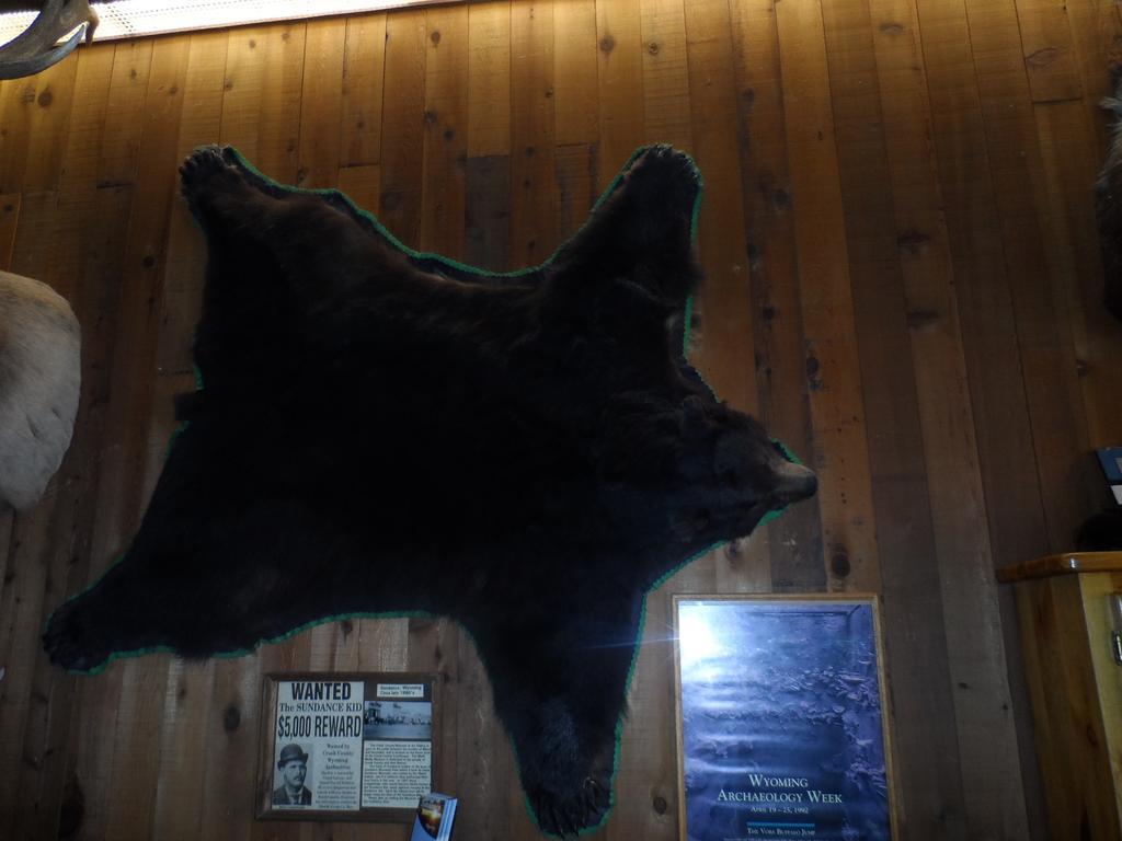 Bear Lodge Motel 圣丹斯 外观 照片